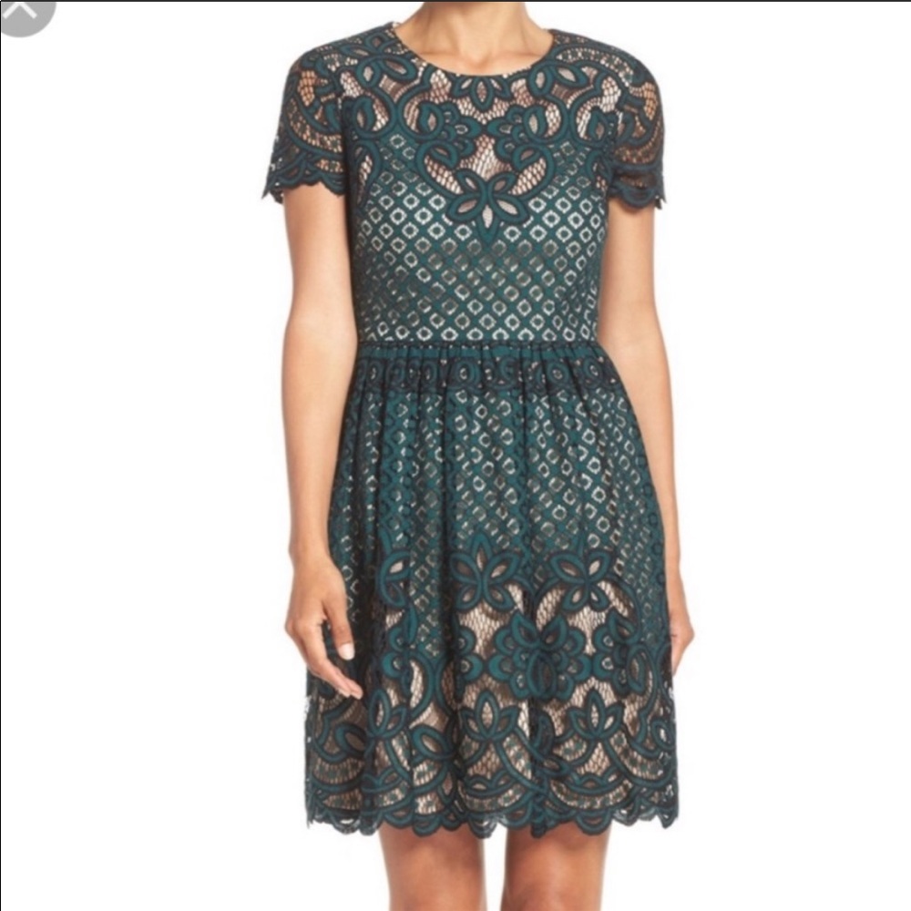 Eliza J lace illusion fit and flare green dress